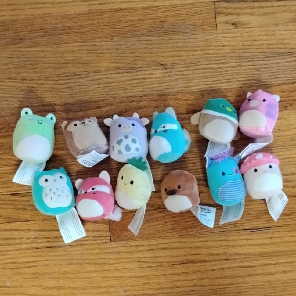 Set Of 12 Squishmallows By Squishville